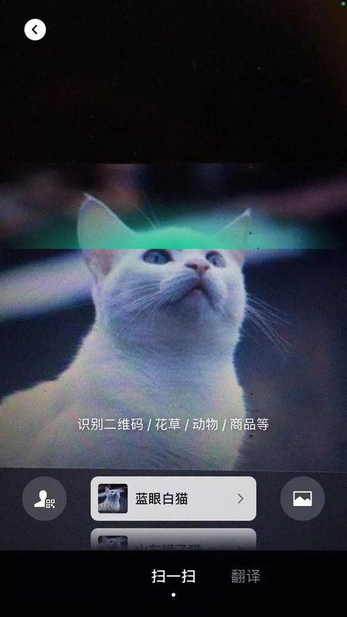 爆料江仙视频,揭秘背后惊人真相  第2张